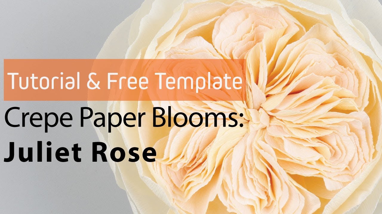 [Free Template & Tutorial] Crepe Paper Blooms #4: Juliet Rose 줄리엣로즈 종이꽃 만들기 / Crepe Paper Flower DIY