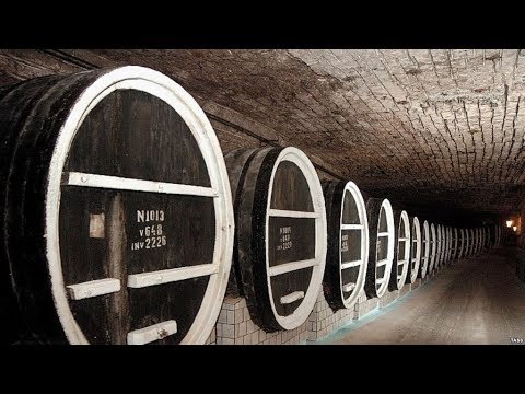 Экскурсия в уникальные винные подвалы Крикова!