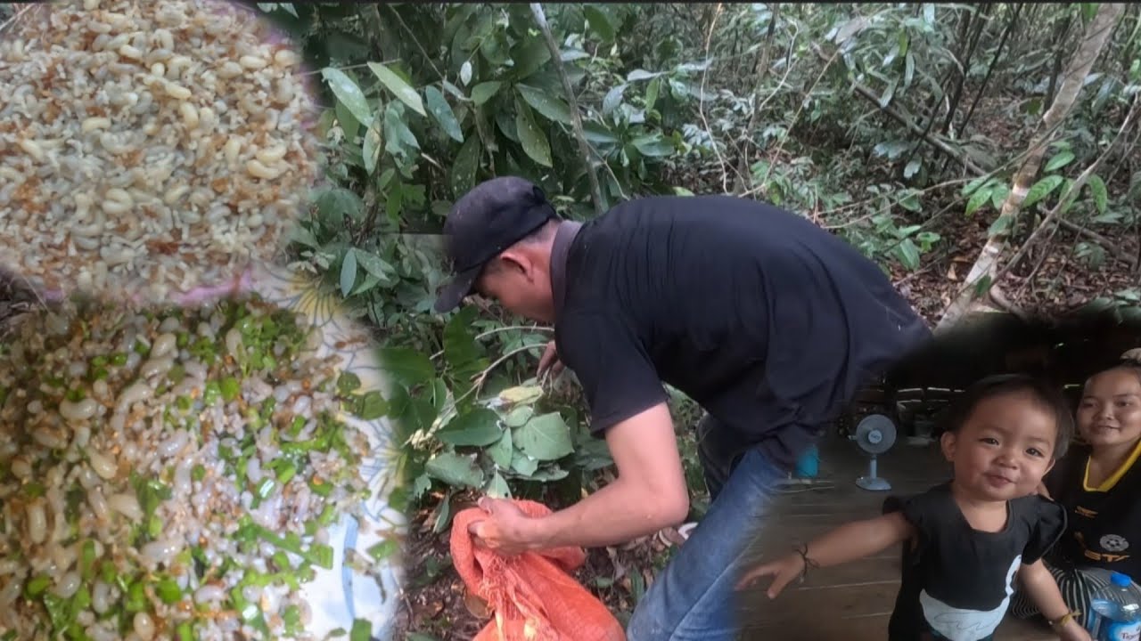 ก้อยไข่มดแดง / ກ້ອຍໄຂ່ມົດແດງ