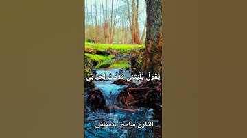 القارئ سامح مصطفى سورة الفجر #quran #المصحف #islamicstatus #اكسبلور #قرآن #راحة_نفسية #fyp #foryou