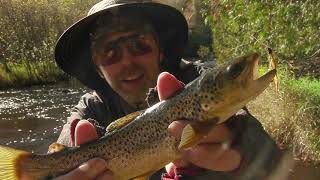 Wisconsin's Greatest Trout Stream - The Wolf River