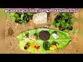 Worshipping the naturepapaya planting papayaaadhavan farms tirunelvelimathivanan aladi aruna