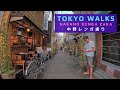 【4K】Tokyo Walks - Nakano Renga Zaka - 中野レンガ通り - Japan - 2020 - 東京