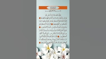 سورة يوسف بصوت القارئ الشيخ سعد الغامدي، القرآن الكريم راحة نفسية و سكينة #سعد الغامدي #قرآن