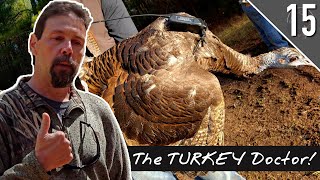 THE DECLINE of WILD TURKEYS!!! Why Research Matters with Dr. Mike Chamberlain