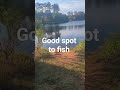 Good Fishing spot