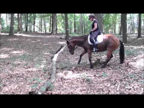 Caprice Z buiten oefeningen - YouTube