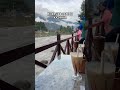 Riverside cafe in kashmir  #kashmir #nature #mountains #travel #trending #dailyvlog #riverside #cafe