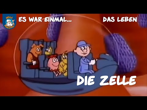 Video: Lernen Kinder, was sie leben?