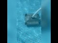 Limpiafondos  robot automático intex prueba piscina pileta alberca swimming pool