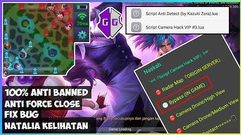 Script Radar Map Perfect + Script anti detect Patch (KOF) | Natalia gk bisa sembunyi lagi!!