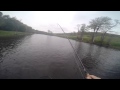 A Monster Brownie on the river tweed