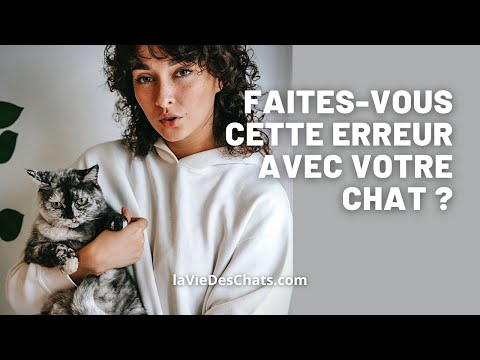 Cette erreur que