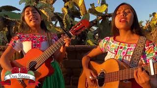 La Tumba De Villa-Dueto Dos Rosas chords