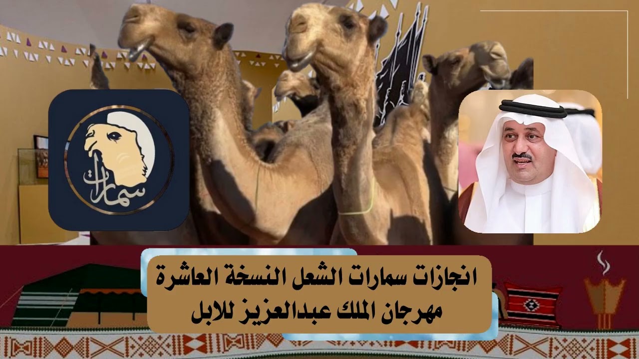 انجازات سمارات الشعل النسخة العاشرة مهرجان الملك عبدالعزيز للابل