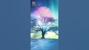 🔥 فأصابها إعصار فيه نار فاحترقت | محمد اللحيدان | سورة البقرة | تلاوة تهز القلوب #القرآن_الكريم
