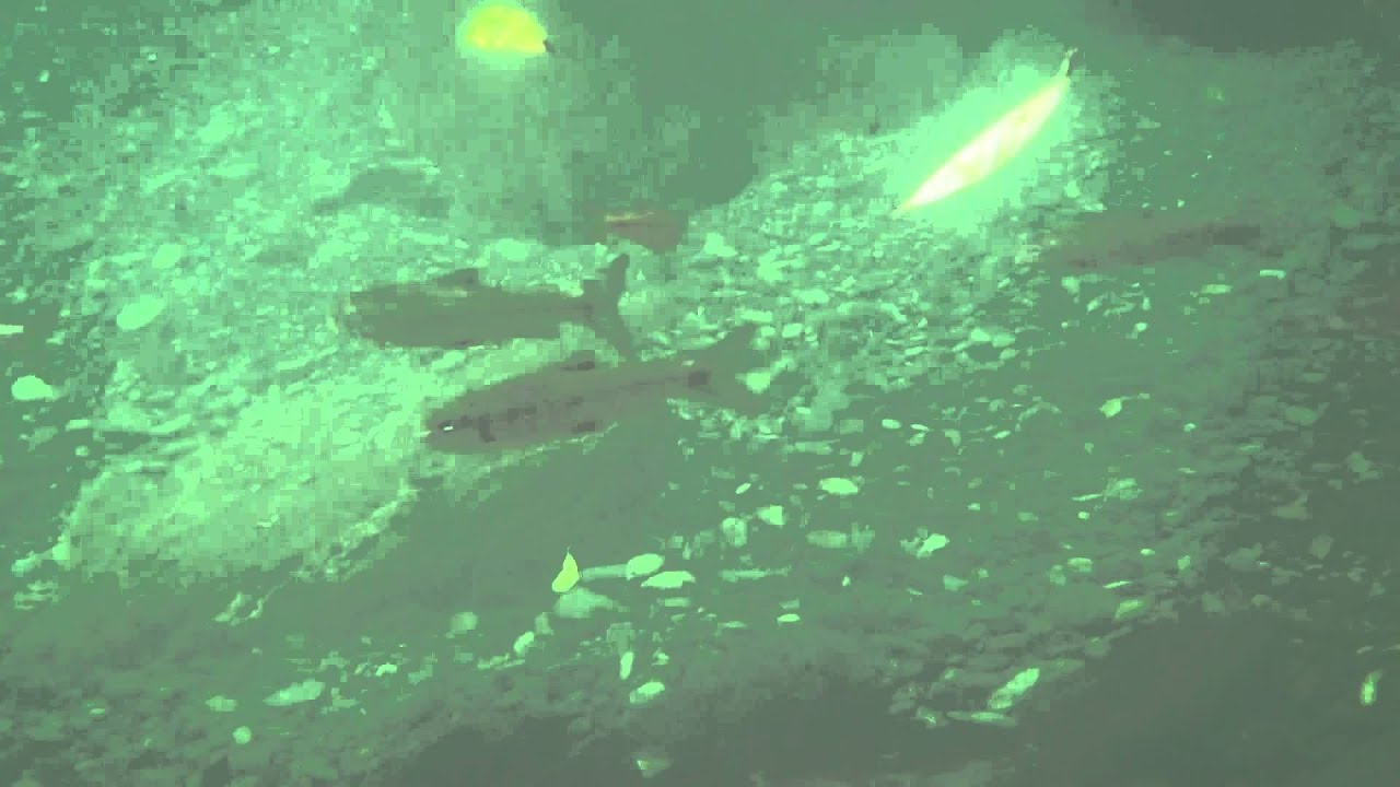 1030920 福山步道7K05