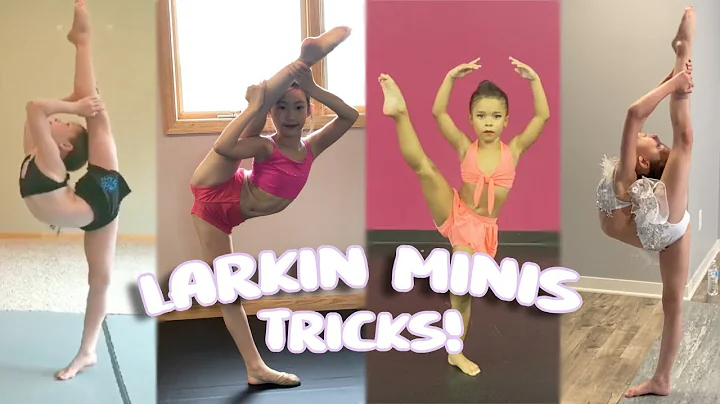 Favorite Tricks with the Larkin Minis! (part 1)