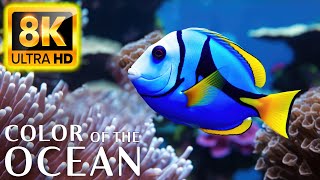 Colors Of The Ocean 8K Video ULTRA HD - The best sea animals for relaxing and soothing music #22