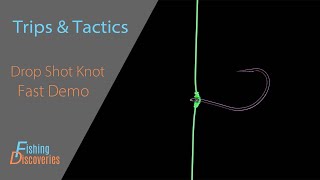 How to Tie a Dropshot Knot Like a Tournament Angler