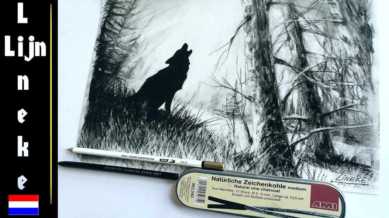 Wolf Tekenen Houtskool Tekening - Youtube