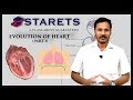 EVOLUTION OF HEART- PART 1| Mr.RAMA MOORTHY| NEET | STARETS ACADEMY|