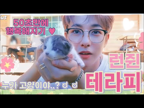 [NCT] 런쥔테라피･ﾟ*｡･ฅ^•ﻌ•^ฅ♡︎