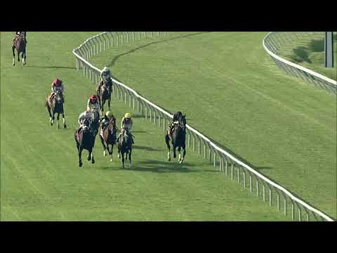 video thumbnail for MONMOUTH PARK 7-16-21 RACE 2