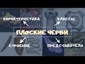 Тип Плоские черви. Биология 7 класс. Классы, строение плоских червей. Ленточные черви Паразиты. ЕГЭ