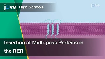 Insertion of Multi-pass Transmembrane Proteins in the RER | Cell Bio | Video Textbooks - Preview