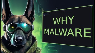 WHY DO WE EVEN NEED MALWARE DEVELOPMENT?