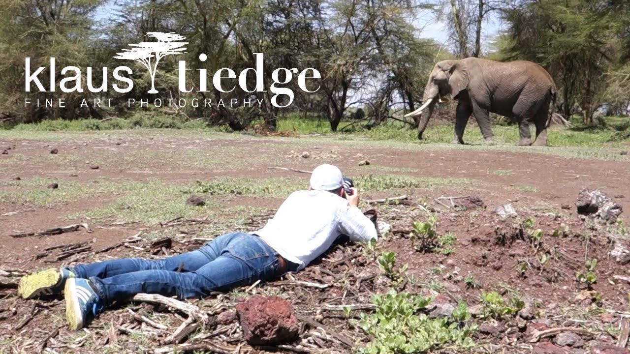 EP. 6 Safari in Kenya with wildlife photographer Klaus Tiedge - Amboseli highlights