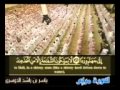 صدقه جاريه ياسر الدوسري تلاوة مؤثرة جدا