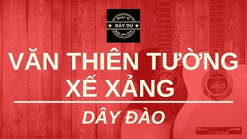 NHẠC SĨ BẢY DƯ - "Văn thiên tường - Xế xảng" (DÂY ĐÀO)