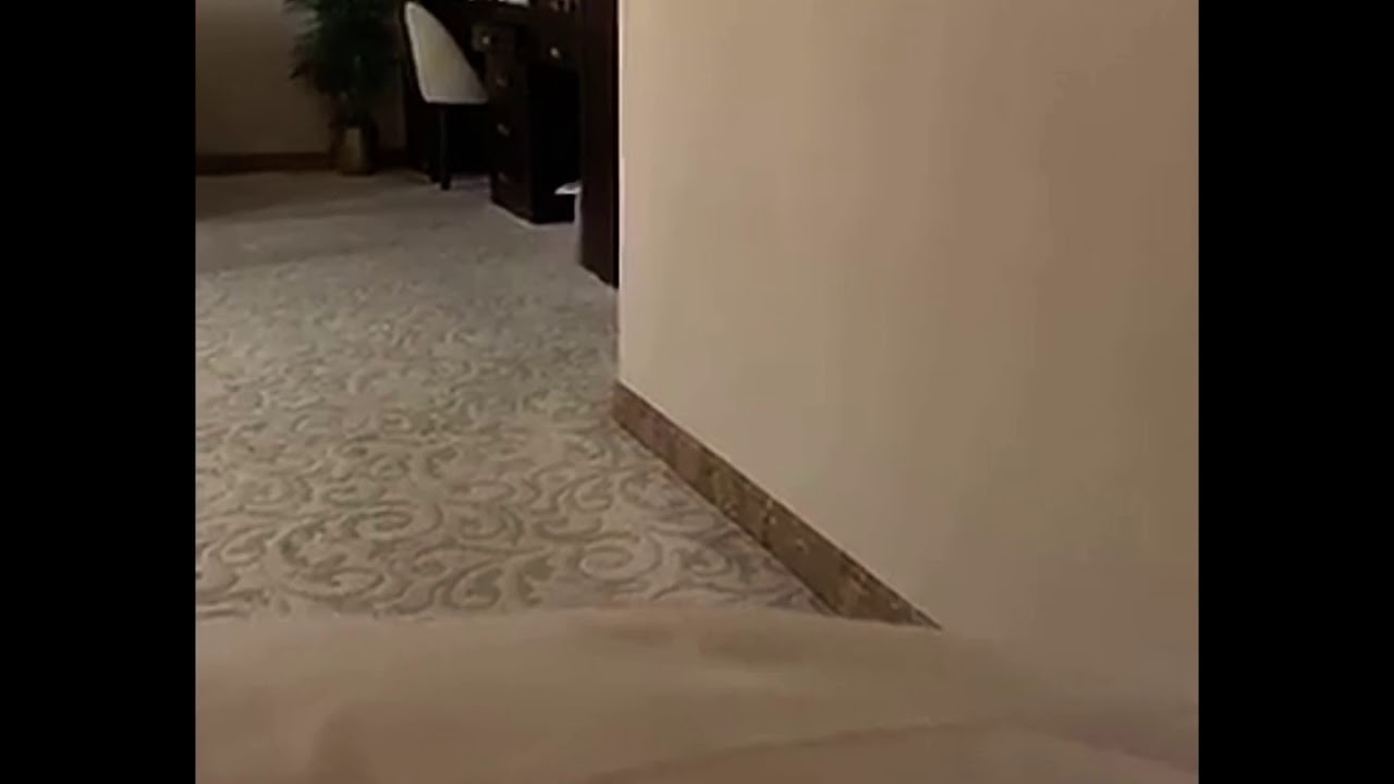 سواليف هيون، قصة حقيقة ل سيده تروي فضل سورة البقره والصدقه في تفريج همومها وتغير حالها ل احسن حال.