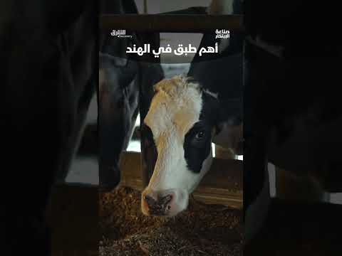 أهم طبق في الهند