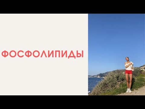 Video: Фосфолипид молекуласы кандай бөлүктөрдөн турат?