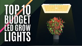 Top 10: Best Budget LED Grow Lights of 2023 / Full Spectrum Plant Growth Lamp