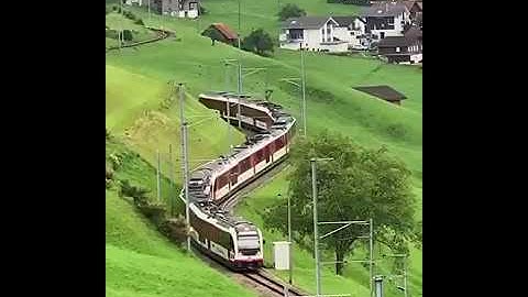 سورة الكافرون عبد الله موسى