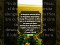 Dragostea desavarsita alunga frica #verset #biblia #verset #credinta