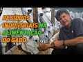 Utilização de resíduos industriais  na alimentação do gado.