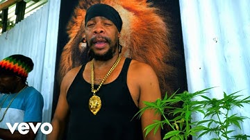 Turbulence - Let It Bloom (Official Music Video)