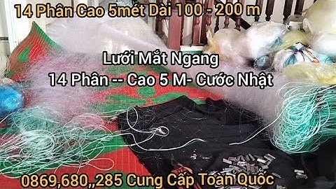 Lưới Đánh Cá 3 Màn 14 Phân Cao 5 mét Dài 100 mét 200 mét Sợi Cước Nhật Bản Bắt Cá Lớn Nước Sâu 