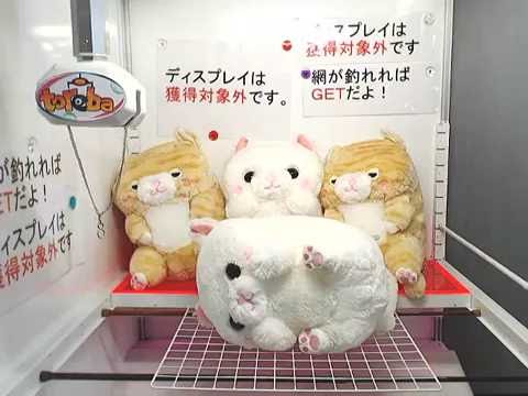 toreba plush