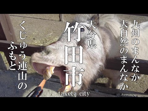 【大分県の魅力は山の方にもある】大分県竹田市の有名な観光スポットにお邪魔してみた【トッキ―二ひょう助の旅第286話】