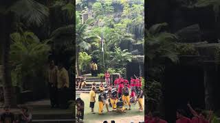 We Are Samoa 2026 Mens Husking Competition