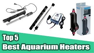 Top 5 Best Aquarium Heaters Reviews 2020