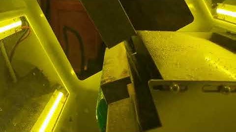 Millet color sorter machine