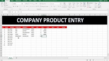 Portfolio Data Entry