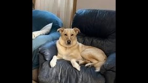 Command Couch Ep 5 "Tips and Tricks to improve game speed"